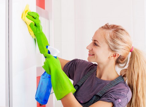 Professional pet stain odour removal in a Willesden living room