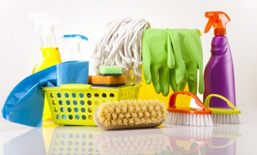 Professional Willesden carpet cleaners deep cleaning a living room carpet