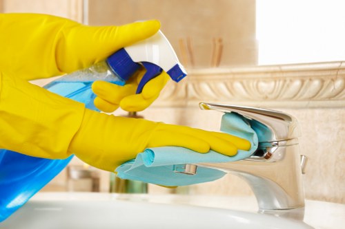 Local carpet cleaning specialist providing detailed floor care