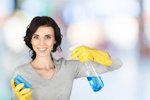 Professional steam carpet cleaning in a Willesden home