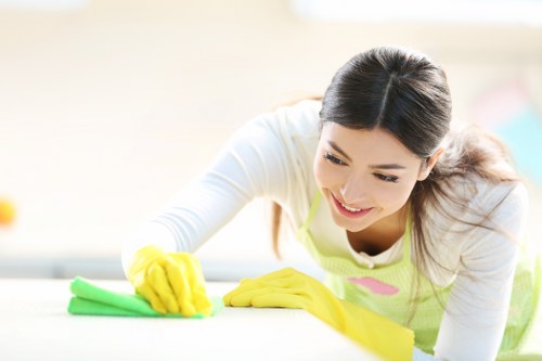 Fresh and clean pet-friendly home after stain removal
