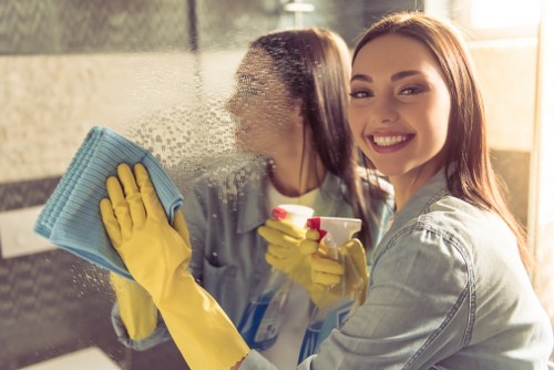 Deep carpet cleaning for pet odour removal in Willesden