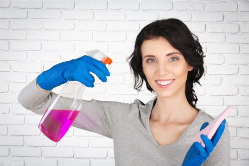 Deep cleaning a mattress to remove dust and allergens in Willesden